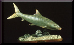 Bonefish salt water carving
