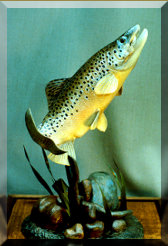 Rising Brown Trout carving