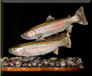 Steelhead Pair custom carving